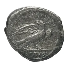 coin rev