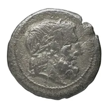 coin obv