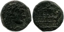 coin rev