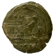 coin rev