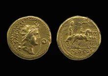 coin rev