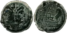 coin rev