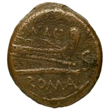 coin rev