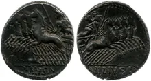 coin rev