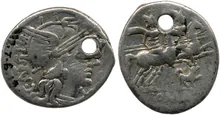 coin rev