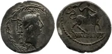coin rev