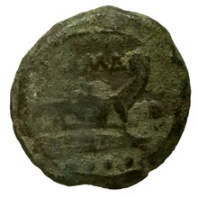 coin rev