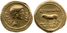 coin rev