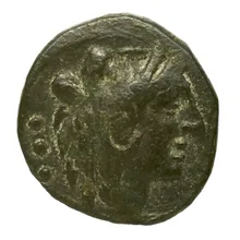 coin obv