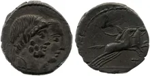 coin obv