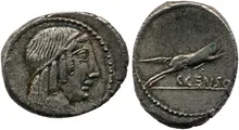 coin obv