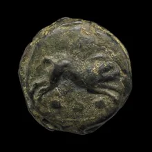 coin rev