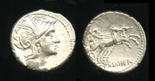 coin rev