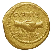 coin rev