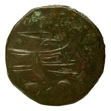 coin rev