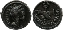 RRC 494/41