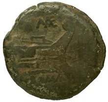 coin rev