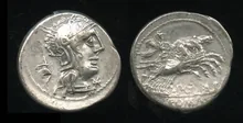 coin rev