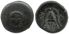coin rev