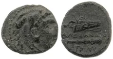 coin rev