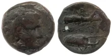 coin obv