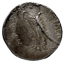 Птолемей III Эвергет rev
