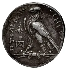 Птолемей III Эвергет rev