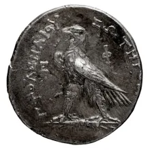 Птолемей III Эвергет rev