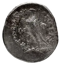 Птолемей III Эвергет rev