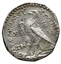 Птолемей III Эвергет rev