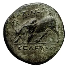 Seleucus II Callinicus rev