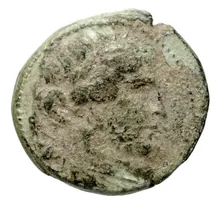 Seleucus II Callinicus obv
