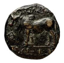 Seleucus II Callinicus rev