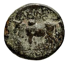 Seleucus II Callinicus rev