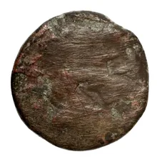 Seleucus II Callinicus obv