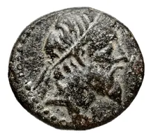 Seleucus II Callinicus obv