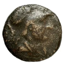 Seleucus II Callinicus obv