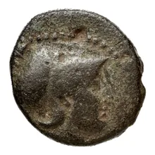 Seleucus II Callinicus obv