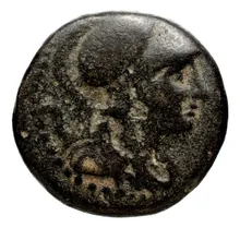 Seleucus II Callinicus obv