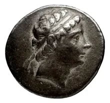 Seleucus II Callinicus obv