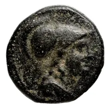 Seleucus II Callinicus obv