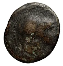 Seleucus II Callinicus obv