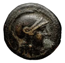 Seleucus II Callinicus obv
