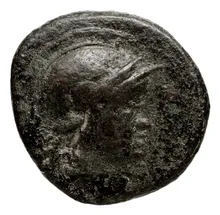 Seleucus II Callinicus obv