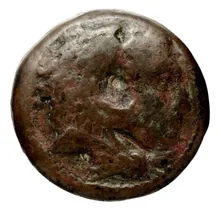 Seleucus I Nicator obv