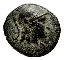 Seleucus II Callinicus obv