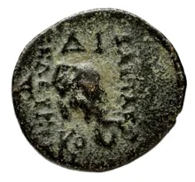 Seleucus II Callinicus rev