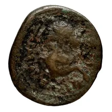 Seleucus I Nicator rev