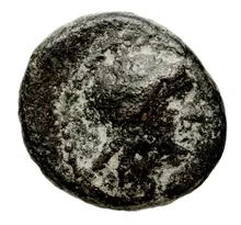 Seleucus II Callinicus obv