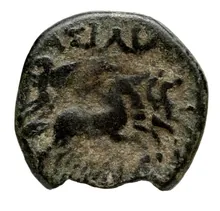 Seleucus II Callinicus rev